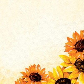 SIGEL DP129 Sunflower Design Paper 90g A4 50 Sheets Sustainable Paper