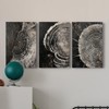 Renditions Gallery Circular Patterns Wall Art Monochrome Shadows Of Time