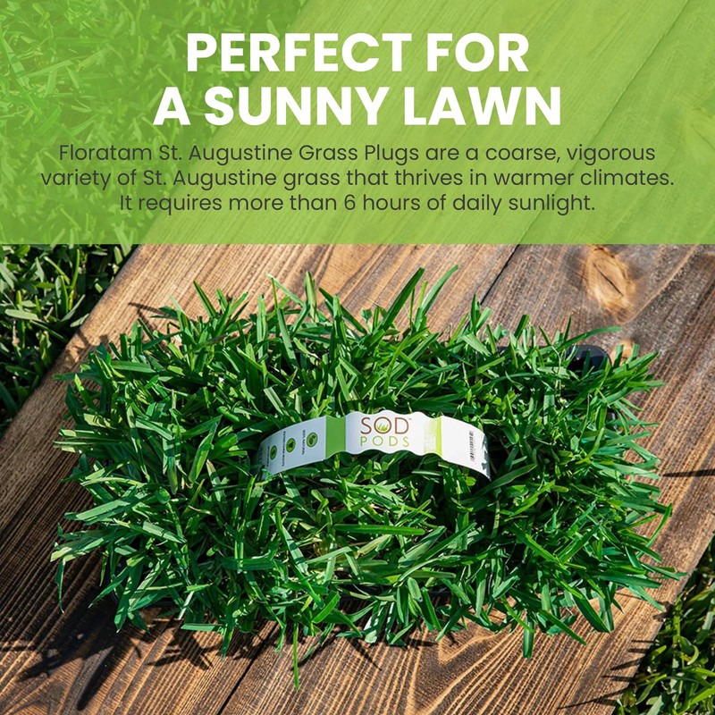 SodPods® St. Augustine Sun/Shade Pack, Floratam & CitraBlue Grass Plugs