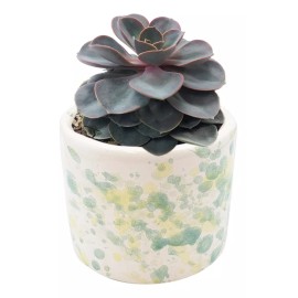 Muna Maceta De Cerámica Esmaltada Decorada Moteada Cilindro
