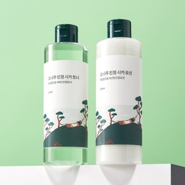roundlab 라운드랩 소나무 진정 시카 토너 250ml x 로션 250ml 2종 세트