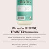 Mrs. Meyerâ€™s Clean Day Liquid Hand Soap, Basil Scent, 12.5