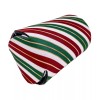 Coolie Junction Christmas Stripes Collapsible Can Coolie; Holiday