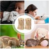 KxrTpx 3 Rabbit Chew Toys, Boredom Breakers for Small Pets,
