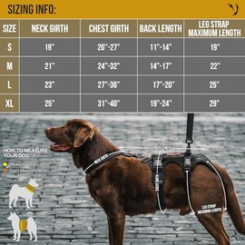 OneTigris Arnés de Soporte para Patas Traseras de Perro, Sling de Levante para Perros Grandes, Soporte de Cadera para Caninos Ideal para Mayores, Lesiones o Artritis – Proporciona Soporte Esencial