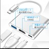 Remarks Japan HDMI Type-C to Type C Converter Adapter Silver