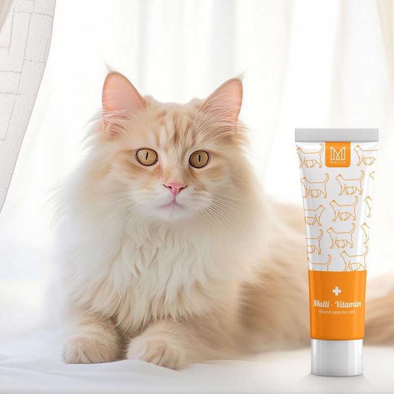 Mersjo Anti-Hairball Cat Paste with Multivitamin 100 g - Dietary