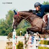 Equithrive Horse Electrolyte Pellets, Vitamins and Minerals Supplement, Equine Feed