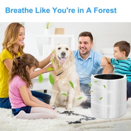 Vanbolt 4Pack 311Auto Filter Replacement-Compatible with Blueair Blue Pure 311 Auto Air Purifier Filter,Collapsible H13 True HEPA and Activated Carbon 3-in-1Replacement Filter (4)