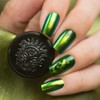 Whats Up Nails - Lizard Vinyl Stencils for Nail Art