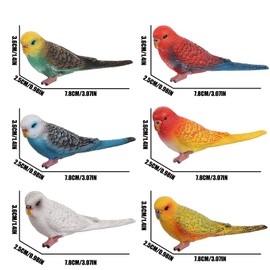 HOMNIVE Figuras de pájaros – Juego de 6 Figuras de Animales realistas de Loros – Modelos de Animales de plástico simulado, Juguetes educativos para niños y niñas