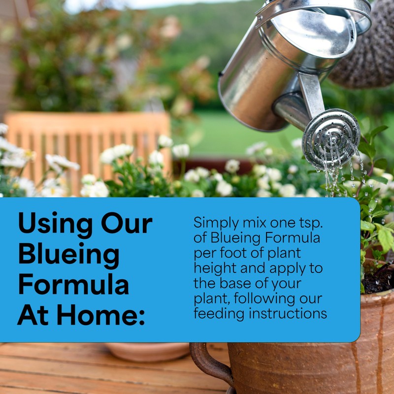 Grow More Hydrangea Blueing Formula - 2lbs of USA-Made Soil