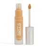 The Body Shop VITAMIN C Concealer 8ml (Medium 2W)