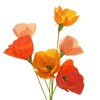 Orange Crepe Paper Poppy Flower DIY Making Kit Home Decoration