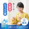 【生きた乳酸菌配合 薬剤師監修】MyWellsy 乳酸菌 ビフィズス菌サプリ 60日分 5兆個 菌活 オリゴ糖 イヌリン ナットウキナーゼ