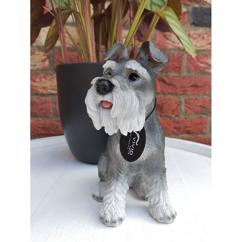 Vivid Arts (Miniature Schnauzer Sitting