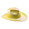 Sombrero Vaquero Rodeo Tornasol Disfraz Batucada Texano