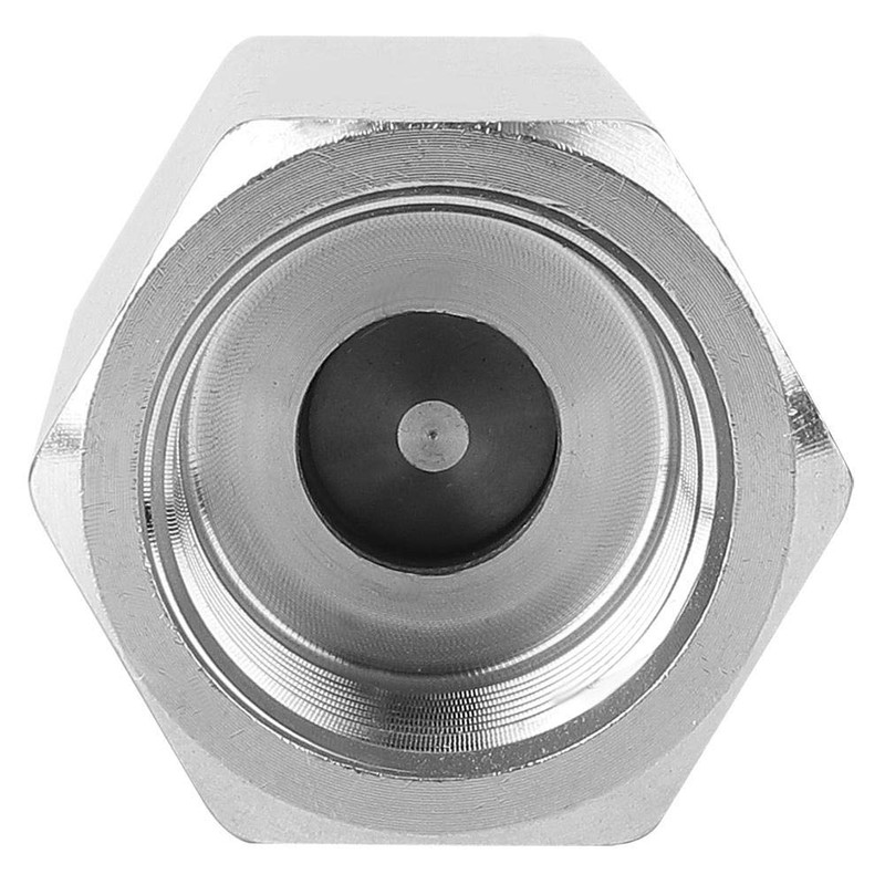 Air Check Valve, Stainless Steel Hex BSPP Female Thread One