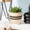 Sass & Belle Sgraffito Planter - Black/White