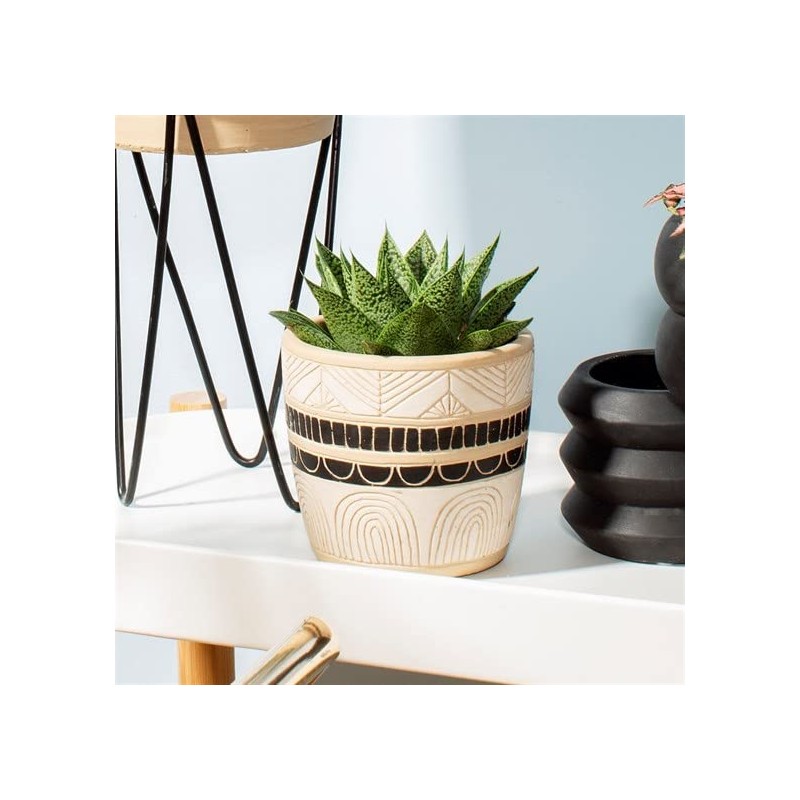 Sass & Belle Sgraffito Planter - Black/White
