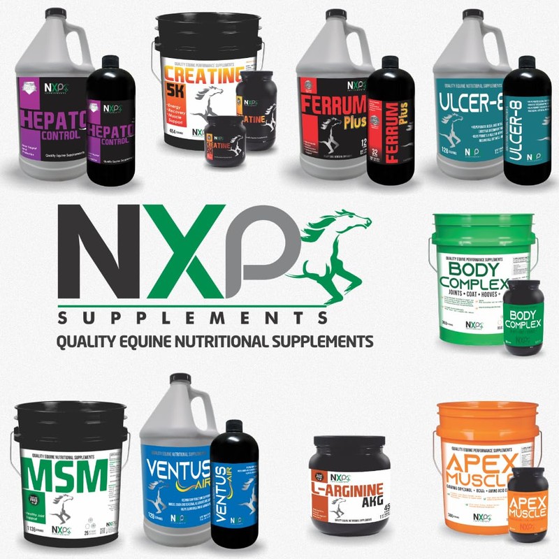 NXP Supplements Body Complex - NXP Supplements for Horses -