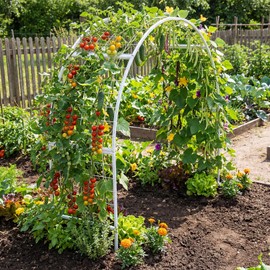 Newtay Arch Trellis for Planter Box Garden Wide Arbor Trellis Metal Arbor for Climbing Plants, Vegetables and Flowers Decorative Outdoor(White,6 x 2 x 6 ft)