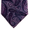 Retreez Elegant Paisley Art Pattern Woven Microfiber 3.15" Men's Tie