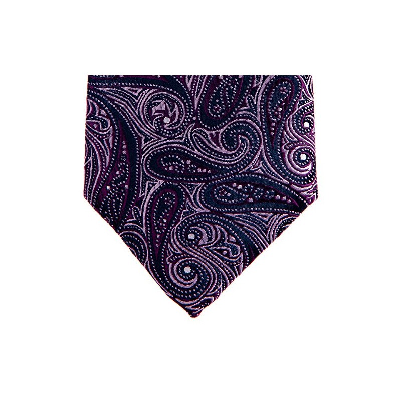 Retreez Elegant Paisley Art Pattern Woven Microfiber 3.15" Men's Tie