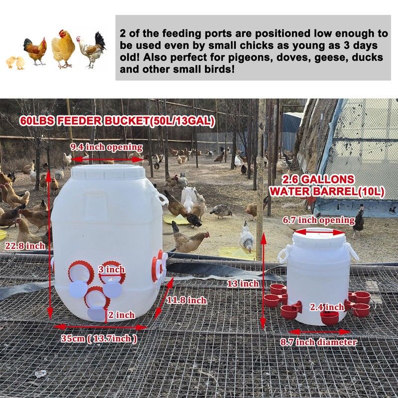 ZLMDK Rainproof Chicken Feeder and Chicken Waterer Set (13 Gallon/60