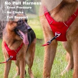 BROUAURPE No Pull Dog Harness for Medium Dogs, Adjustable, Reflective Breathable Padded Vest with 2 Metal Leash Clips and Handle for Control or Car Seatbelt Use, Red, M
