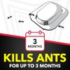 Raid Raid Ant Killer Baits, Child Resistant Bug Killer for Indoor Home Use, 0.24 Oz, 8 Count