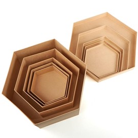 Set of 5 Paper Mache Hexagon Hat Boxes - Papier Mache Cardboard Box Nested Set (7-3/4", 8-1/2", 9-3/4", 12-1/2", and 16" Dia.) Premade Gift Boxes with Lids for DIY Painting and Decoupage