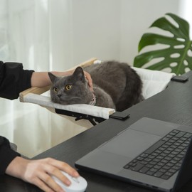 SHENGOCASE Desk Cat Bed Mount, Folding Hammock Perch with Removable Pad, End Table Side Cat Bed Attachment