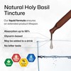 BIO KRAUTER Holy Basil Tincture - Tulsi Powder Liquid Extract