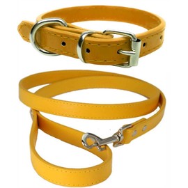 Vibrant Leather Dog Collar & Lead Combo Set for Puppy, Dogs Small, Medium & Large (Small (27cm - 33cm Neck), Bright Gold)