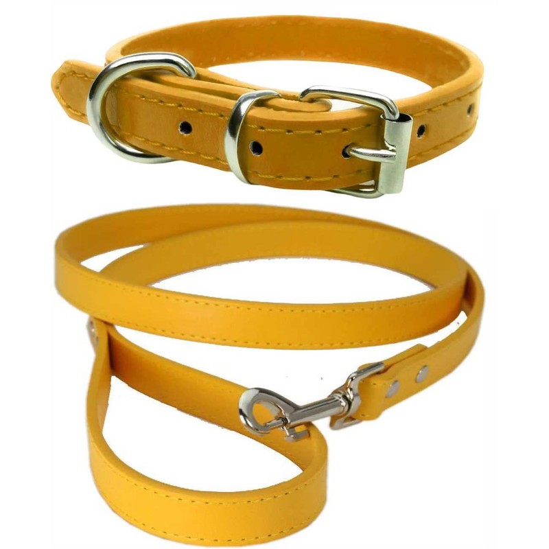 Vibrant Leather Dog Collar & Lead Combo Set for Puppy,