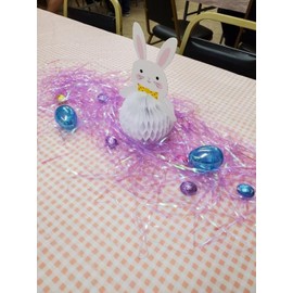 Light Pink & White Gingham Printed Table Cover Small Checks Disposable Tablecloth Roll 100-Ft L x 40" W