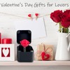 Valentine's Day Gifts for Couples，Funny Gifts, Gag Gifts, Red Rose