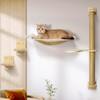 QTART Wall Mount Cat Wall Shelves – Hammock, Scratching Post