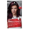 Schwarzkopf Brilliance, Permanent Hair Colour, 23 Burgundy Chic