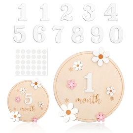 Baby Monthly Milestone Cards,Milestone Wooden Circles with 11 Interchangeable Number 6 in Baby Months Signs for Baby Pregnancy Growth Photo Prop