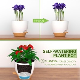 ZMTECH 12Inch 2Pcs Plant Pot Planter for Indoor Plants Self Watering Pot Flower Pot with Drainage Holes and Saucer for Outdoor Plants(White with Brown)