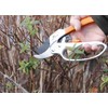 GreenTech - 2 Replacement Blades for Secateurs - 2 Springs