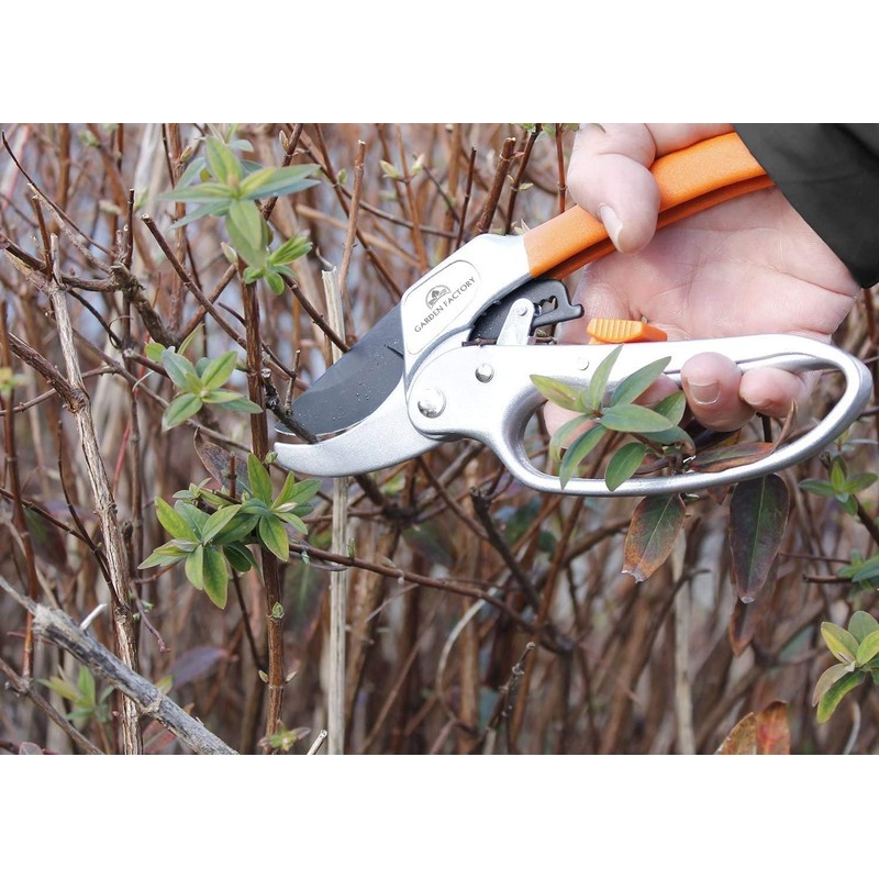 GreenTech - 2 Replacement Blades for Secateurs - 2 Springs