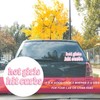 1 Piece Car Sticker, "Hot Girl Hit Curbs" Sticker, Waterproof