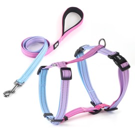 Dog Harness Leash Set, No Pull Adjustable Halter Cute Comfort Padded Handle for Medium Sized Large Small Dogs Walking Training Running with Reflective（Medium,Red Blue）