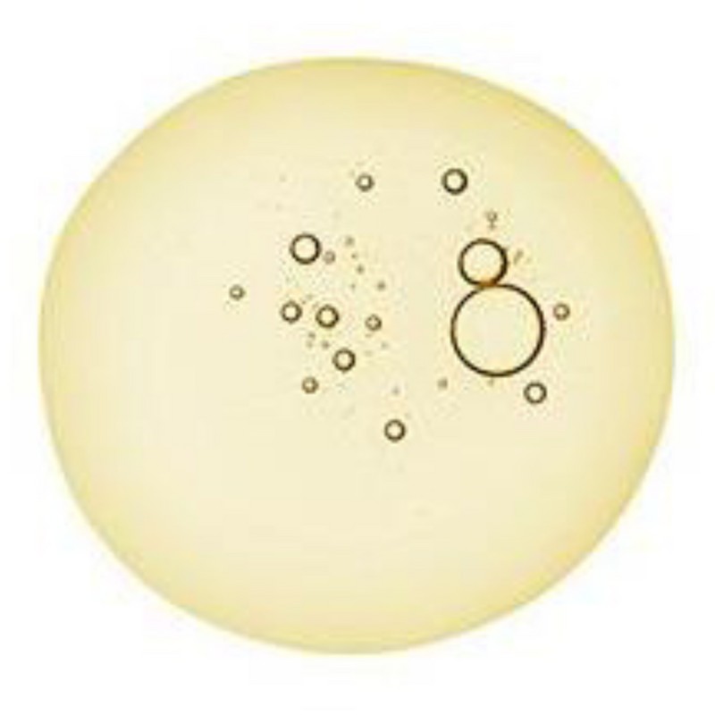 더마팩토리 EDLP 호호바 퓨어 오일, 30ml, 3개 Dermafactory EDLP Jojoba