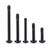 #10 x 1 Black Pan Head Self Drilling Screws, Phillips