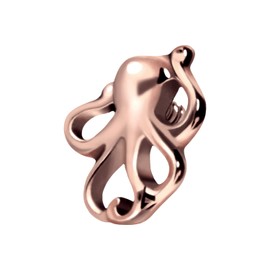 PIERCINGLINE Titanium Screw Attachment with External Thread 0.9 mm Octopus Piercing Attachment Replacement Choice of Colours, Titanium