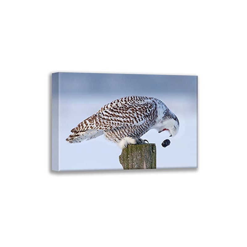 ArtDirect Cumming, Jim 24x17 Gallery Wrapped Canvas Museum Art Titled: